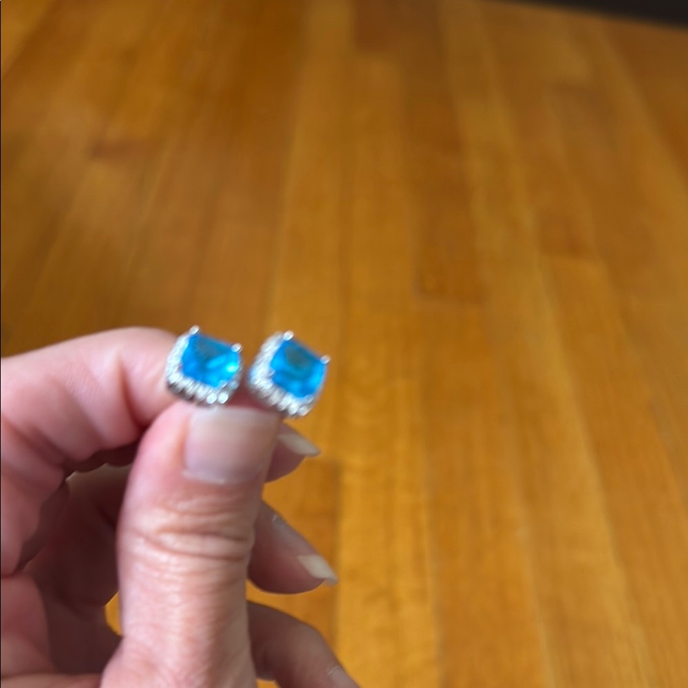 Elegant Blue Stud Earrings